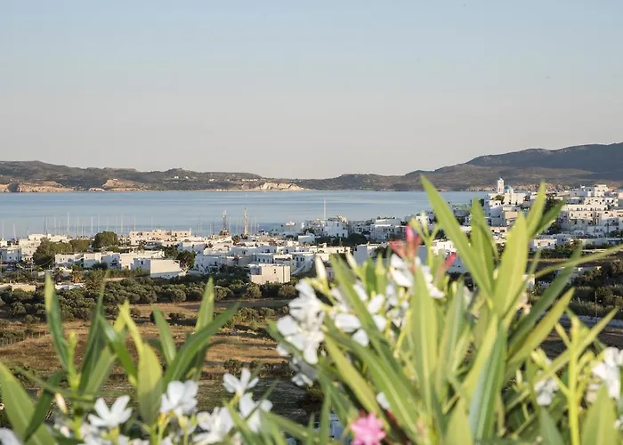 Psilandis Daire Adamantas (Milos)